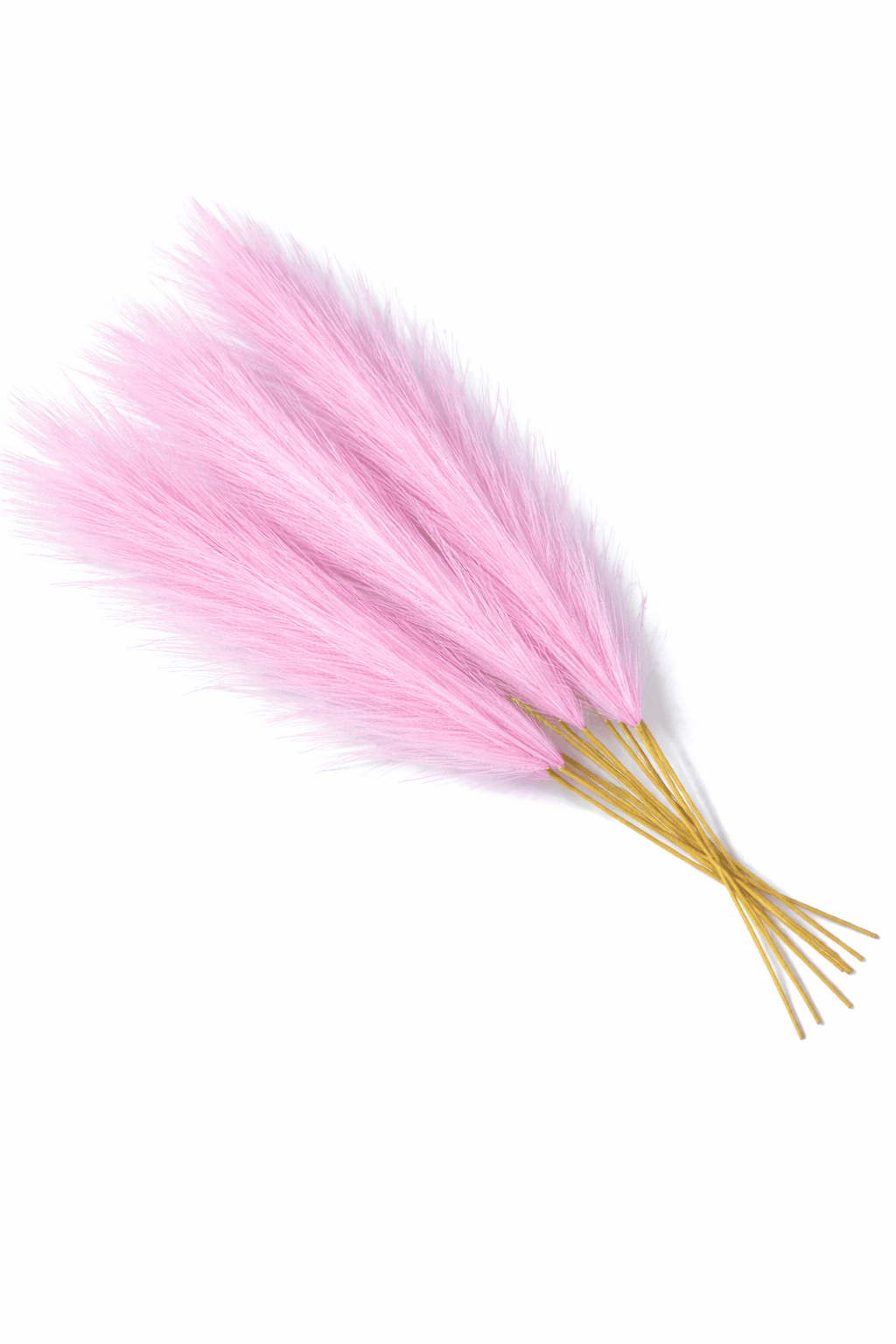 Plumas Rosadas
