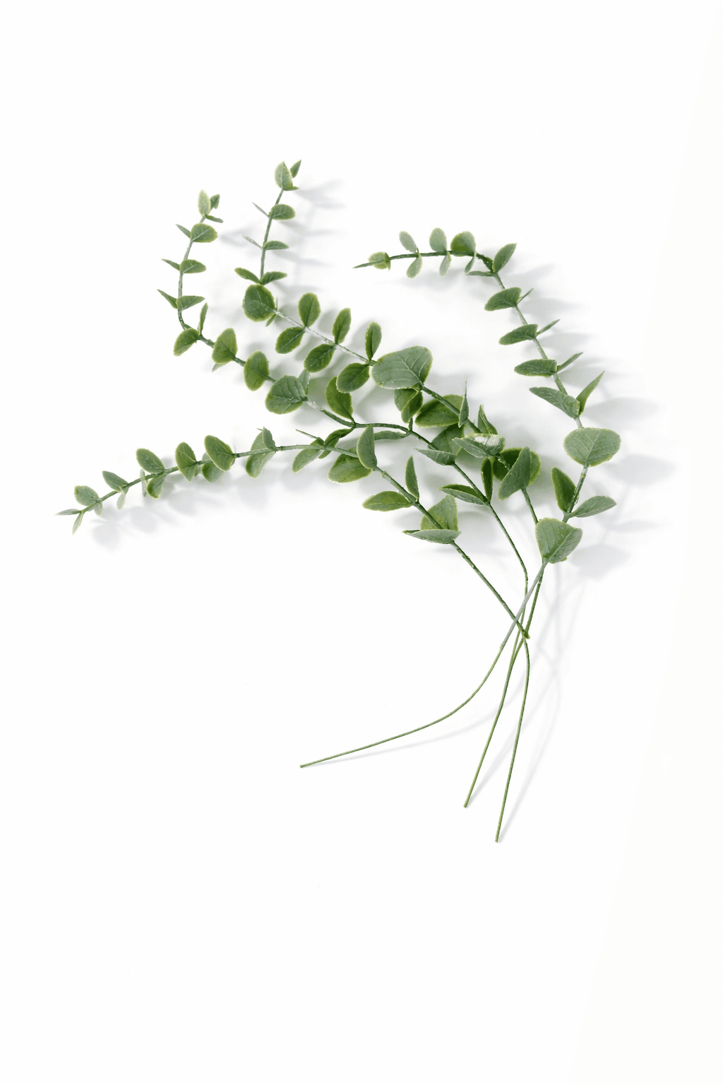 Follaje Verde