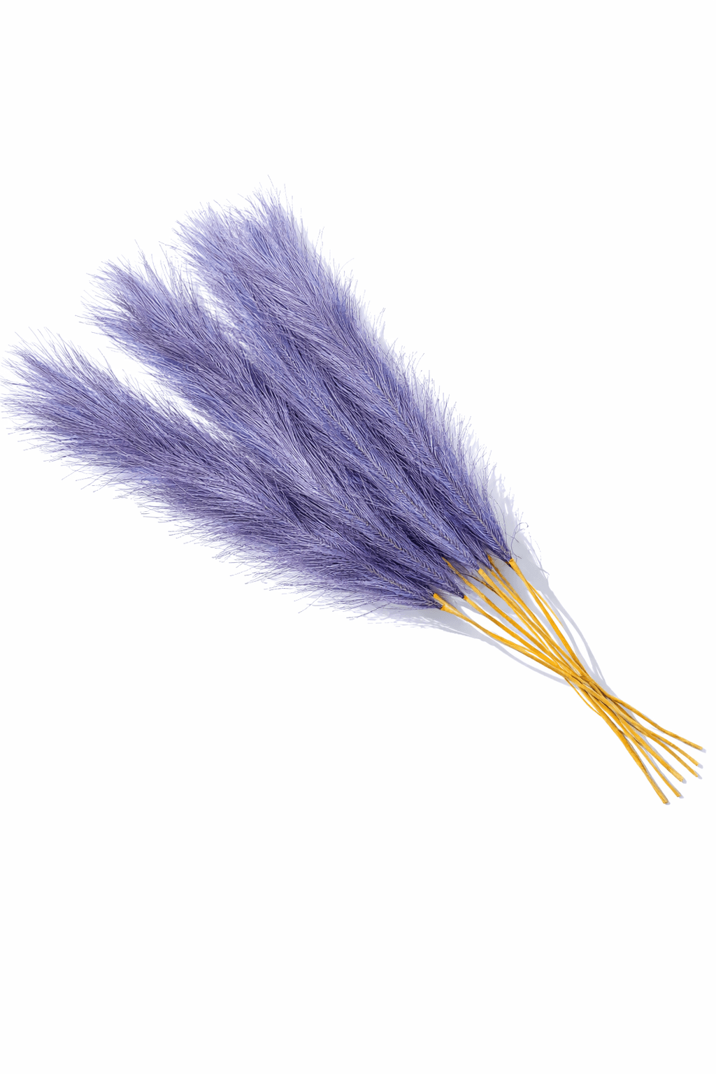 Plumas Grises