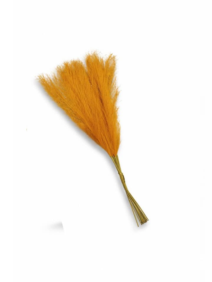 Plumas Mostazas