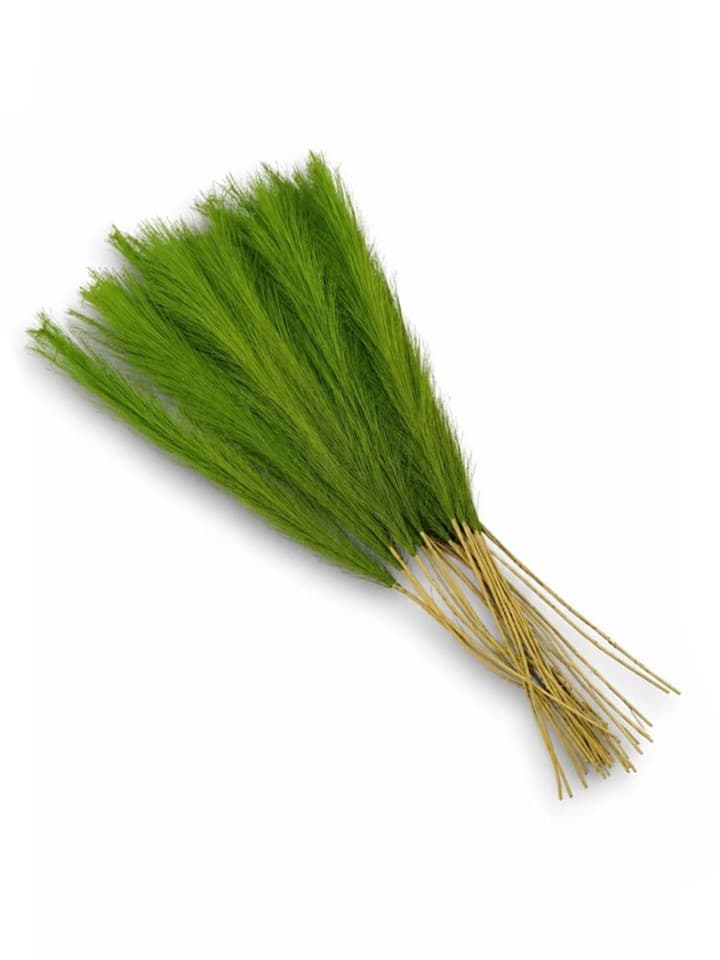 Plumas Verdes